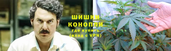ECSTASY Каменка