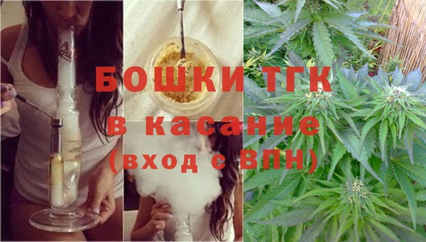 ECSTASY Каменка