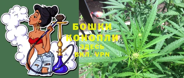 прущая мука Каменногорск