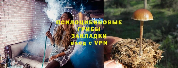 ECSTASY Каменка