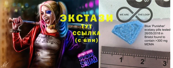ECSTASY Каменка