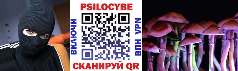 Купить где  Партизанск  Галлюциногенные грибы Psilocybe 